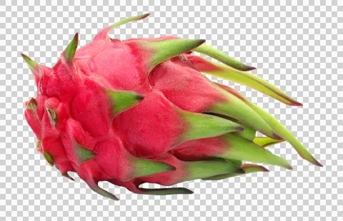 Close up of a dragon fruit Stock Photos