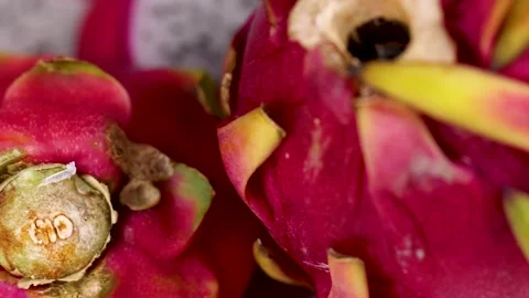 Close-Up of Dragon Fruit Slices Stockbeeldmateriaal 310226048