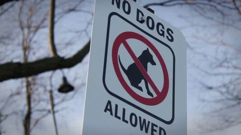 Close up Dramatic shot of a No Dogs Allowed sign near park Stock Footage 71474580