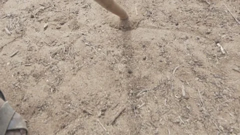 Close up of drawing on sand using a  stick. Stock Footage 319338723