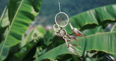 Close up dream catcher on nature background. The dream catcher has been part of Stock Footage 236930367