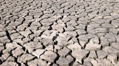 Close Up of Dried and Cracked Mud from Drought - Shallow Depth of Field Stock Footage 157091762