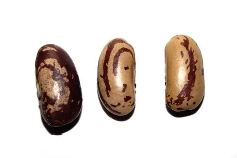 Close Up of Dried Beans Pinto on a White Background Stock Photos