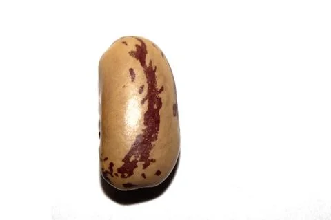 Close Up of Dried Beans Pinto on a White Background Stock Photos