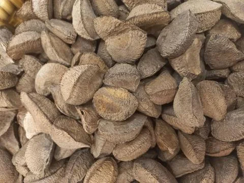 Close-up of dried Brazil nut shells 库存照片