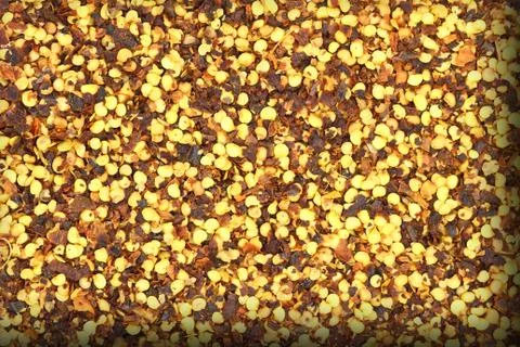 Close up of dried chili Stock Photos