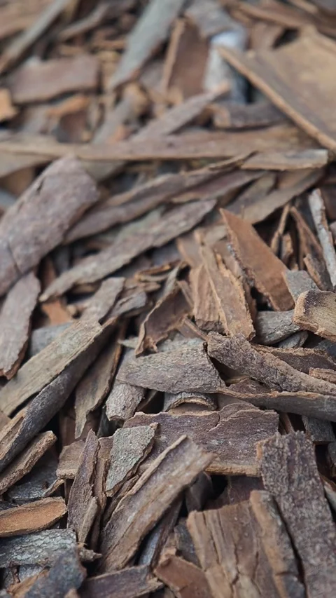 Close-up of Dried Cinnamon Bark Pieces Stock-Footage 345293404