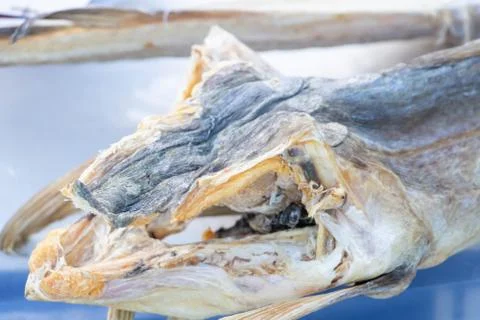 Close-up of a dried cod head, specialty of Italian cuisine Stock Photos
