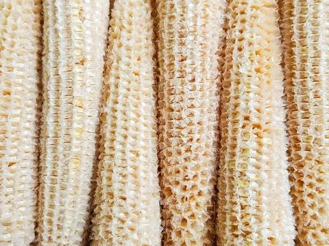 Close Up of Dried Corn Cobs Texture Stock Photos