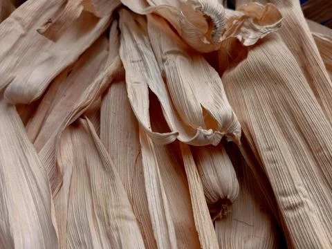 Close up of dried corn husk. 库存照片