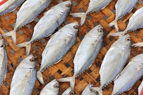 Close-up dried fish Stock Photos