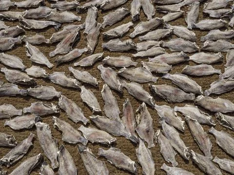 Close up of dried fish Stock Photos
