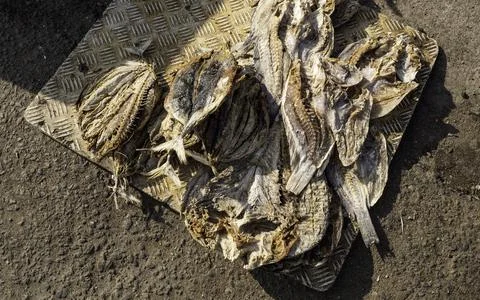 Close up of dried fish Foto stock