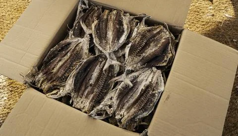Close up of dried fish Photos
