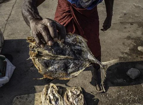 Close up of dried fish Foto stock