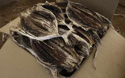 Close up of dried fish Stock Photos