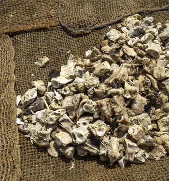 Close up of dried fish Stock Photos