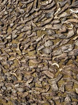 Close up of dried fish Stock Photos