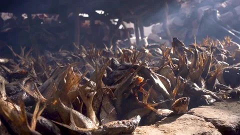 Close up of dried fish in Senegal in west africa in smoking area, part of Stock Footage 336247139