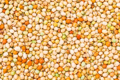 Close up of dried kidney beans. Stock Photos