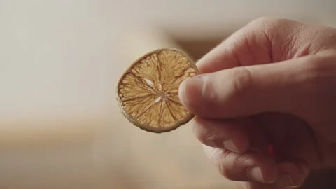 Close up of dried lemon slice being handled. Dehydrated citrus in distillation Stock Footage 150800171