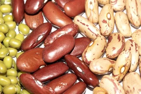 A Close Up of Dried Mixed Beans and Pulses in Lines on a White Background Stock Photos