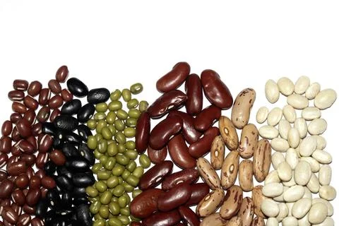 A Close Up of Dried Mixed Beans and Pulses in Lines on a White Background Stock Photos