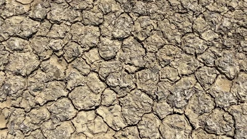 Close-up of dried out cracked soil of a salt marsh Video stock 283554175