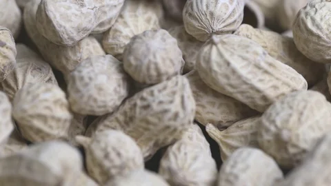 Close up of dried peanuts in heap Stock Footage 112747149