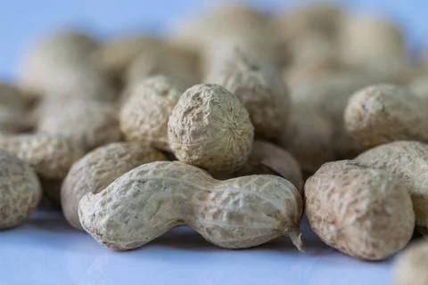 Close up of dried peanuts on a white background Stock Photos