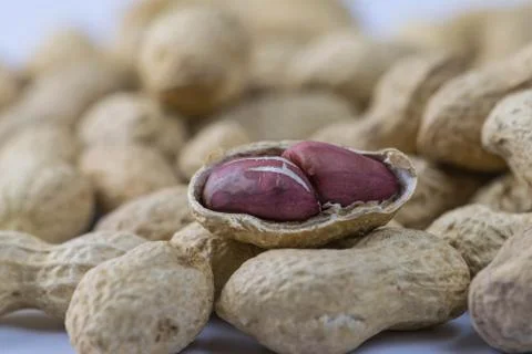Close up of dried peanuts on a white background Stock Photos