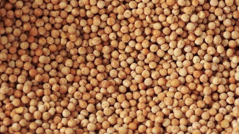Close up dried peas Stock Footage 87917447