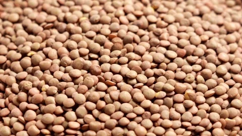 Close up of dried red lentils as raw food background texture Stock-Footage 347458896