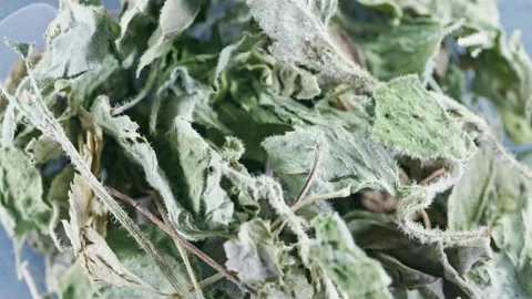 Close-up of dried sage leaves and stems rotating Stock Footage 344947821
