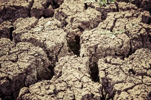 Close up of dried soil Stock Photos