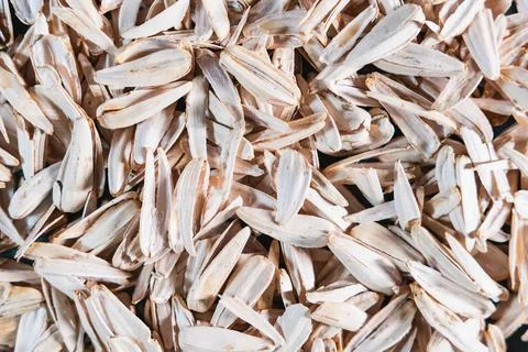 Close Up of Dried Sunflower Seed Shells in a Layered Pattern Stock Photos