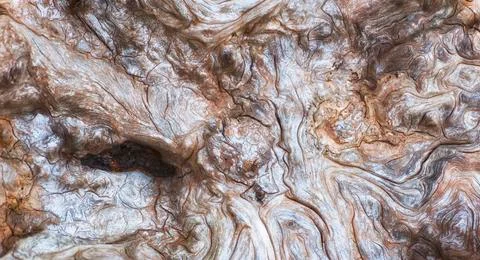 Close up of driftwood Stock Photos