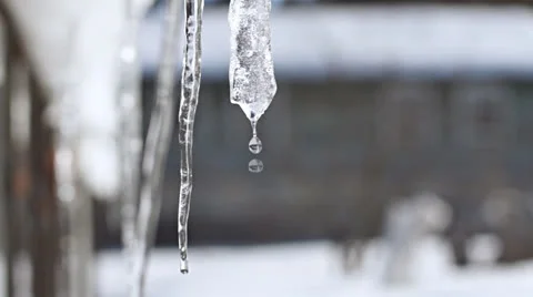 Close-up of dripping icicle in slow motion Stock Footage 23074079
