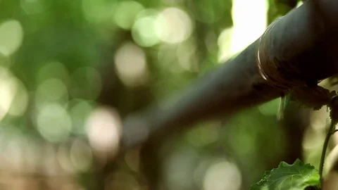 Close up of dripping pipe 2 Stock Footage 78984659