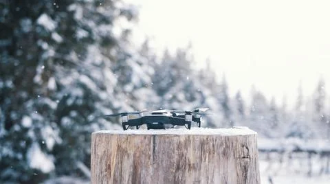 Close up drone rising up from the tree stump on snowy winter day Stock Photos