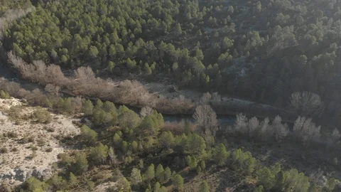 Close Up Drone Tajo River Video stock 103378545