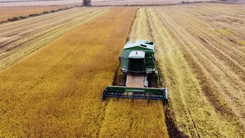 Close Drone View of Combine Harvester Cutting Rice in Field Stock Footage 312053692