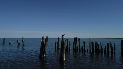 Close Drone view of an old mole made from wood and stones. Birds on mole Stock Footage 105295041
