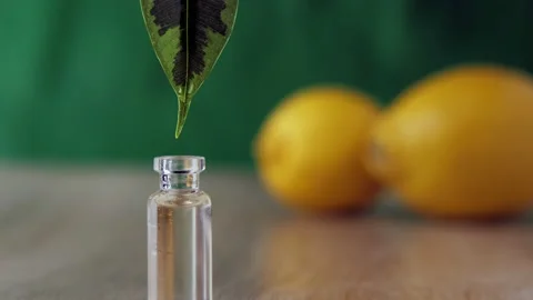 Close-up of a drop of liquid dripping from a green leaf into a glass vial. Stock Footage 149526625