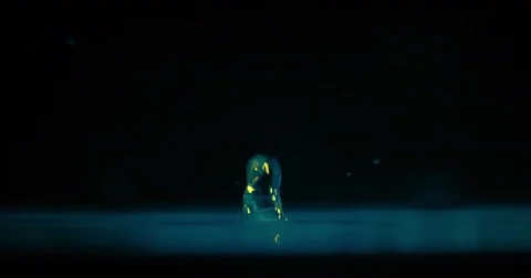 Close up of drop of water hitting water surface Stock Footage 77568796