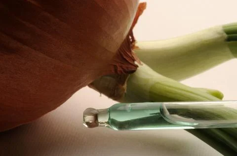 Close up on dropper with onion Stock Photos