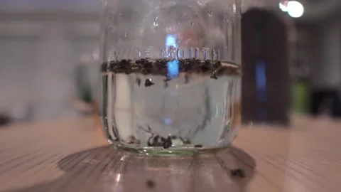Close Up Dropping Loose Tea Leaves into Glass Mason Jar with Water Stock Footage 342728823