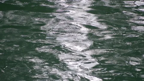 Close up drops of rain on water of a lake. Slow Motion 4K Stock Footage 164446368