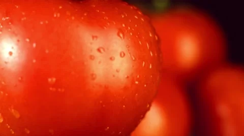 Close up of drops on tomato Stock Footage 48928732