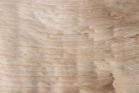 Close up dry banana leaf texture for background Stock Photos